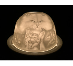 Lampion porcelanowy- Koty